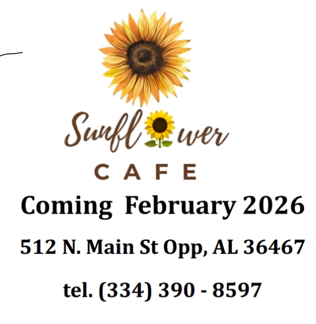 Sunflower Cafe Coming Soon